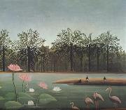 Henri Rousseau The Flamingos painting